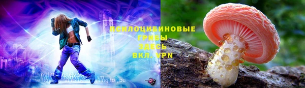 эйфоретик Алзамай