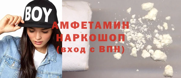 молекула духа Алексеевка
